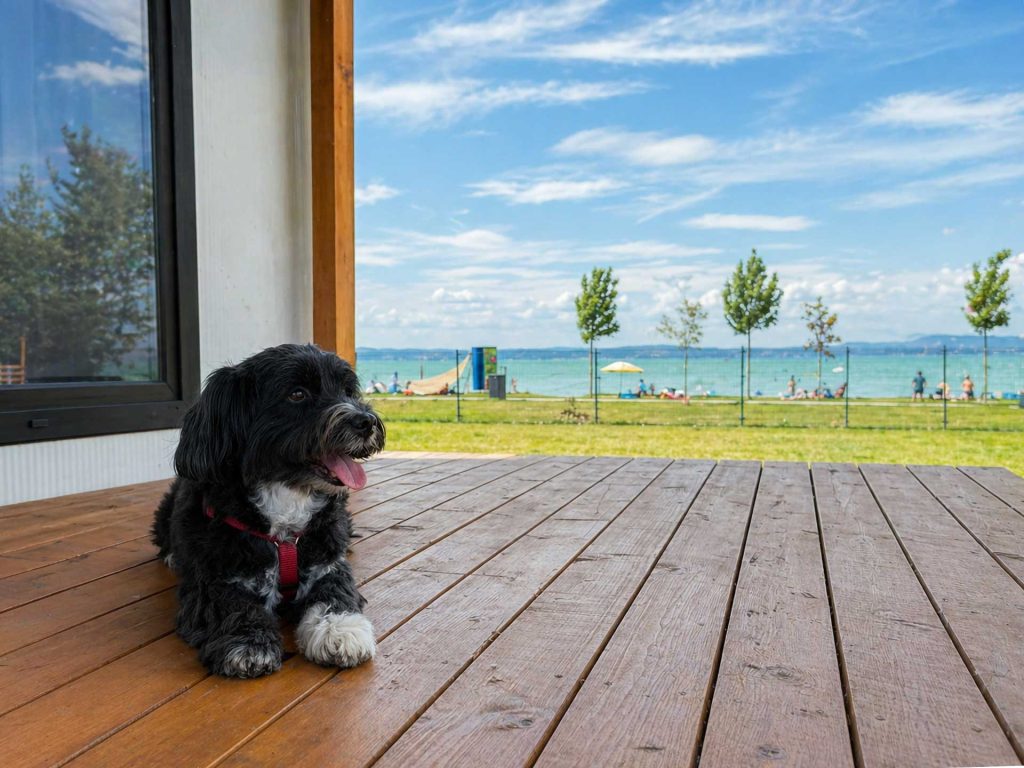 Balaton Urlaub haustierfreundlich hundefreundlich Ferienhäuser Aranypart Siófok