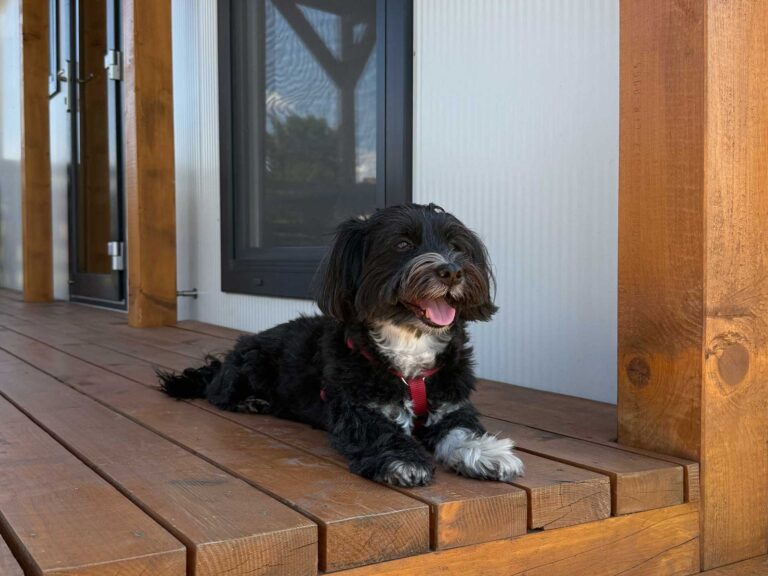 Balaton part szállás apartman Beach House kutyabarát Aranypart Camping & Apartments