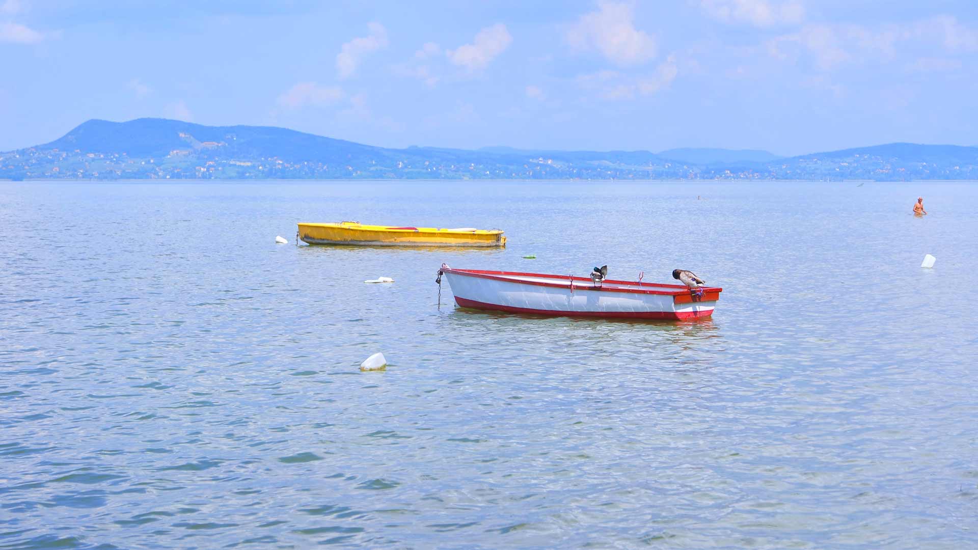 The water quality of Lake Balaton Aranypart Camping campsite Siófok