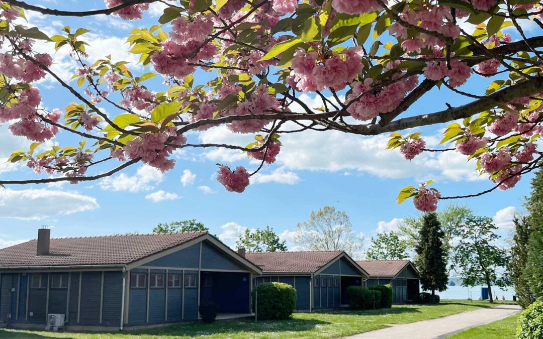 hosszú hétvége Balaton Aranypart Camping kemping apartman