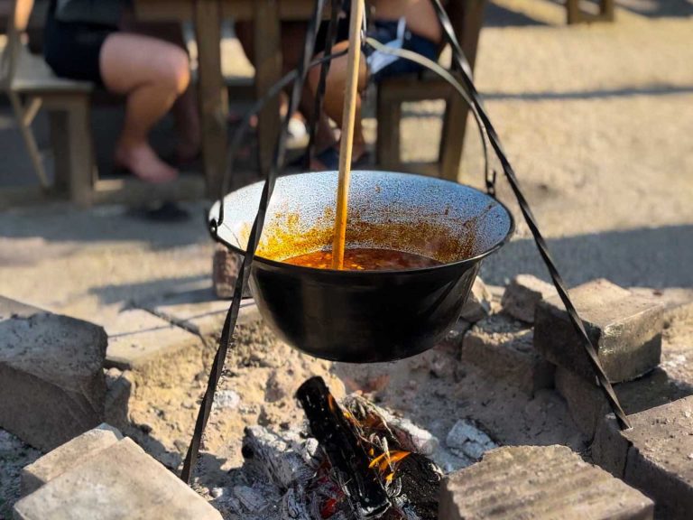 tűzrakóhely bogrács bérlés és tűzifa vásárlás Aranypart Camping & Apartments