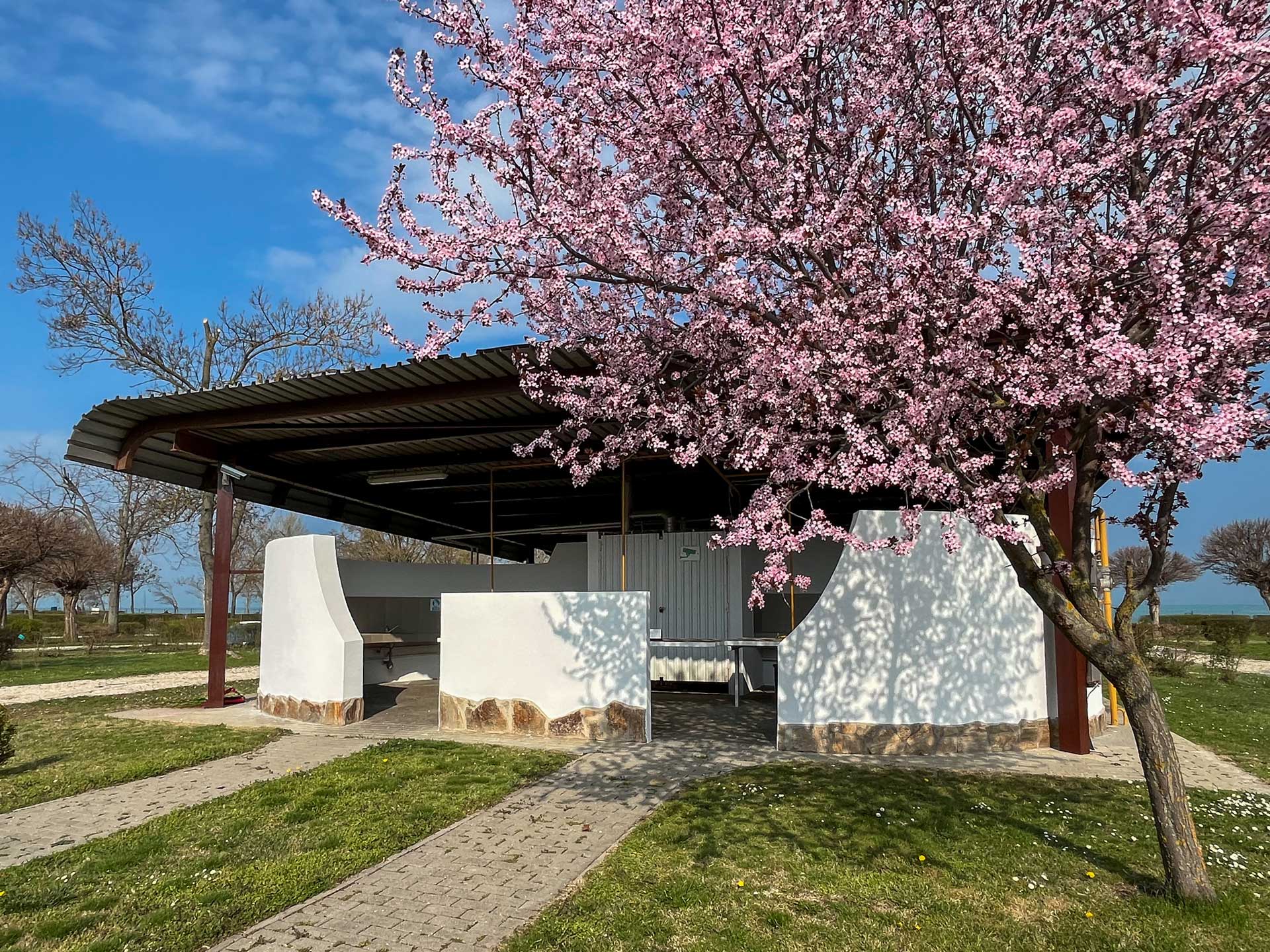 kemping Siófok Sun Cool közös konyha Balaton Aranypart Camping & Apartments