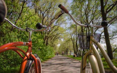 203 kms of cycle path around Lake Balaton
