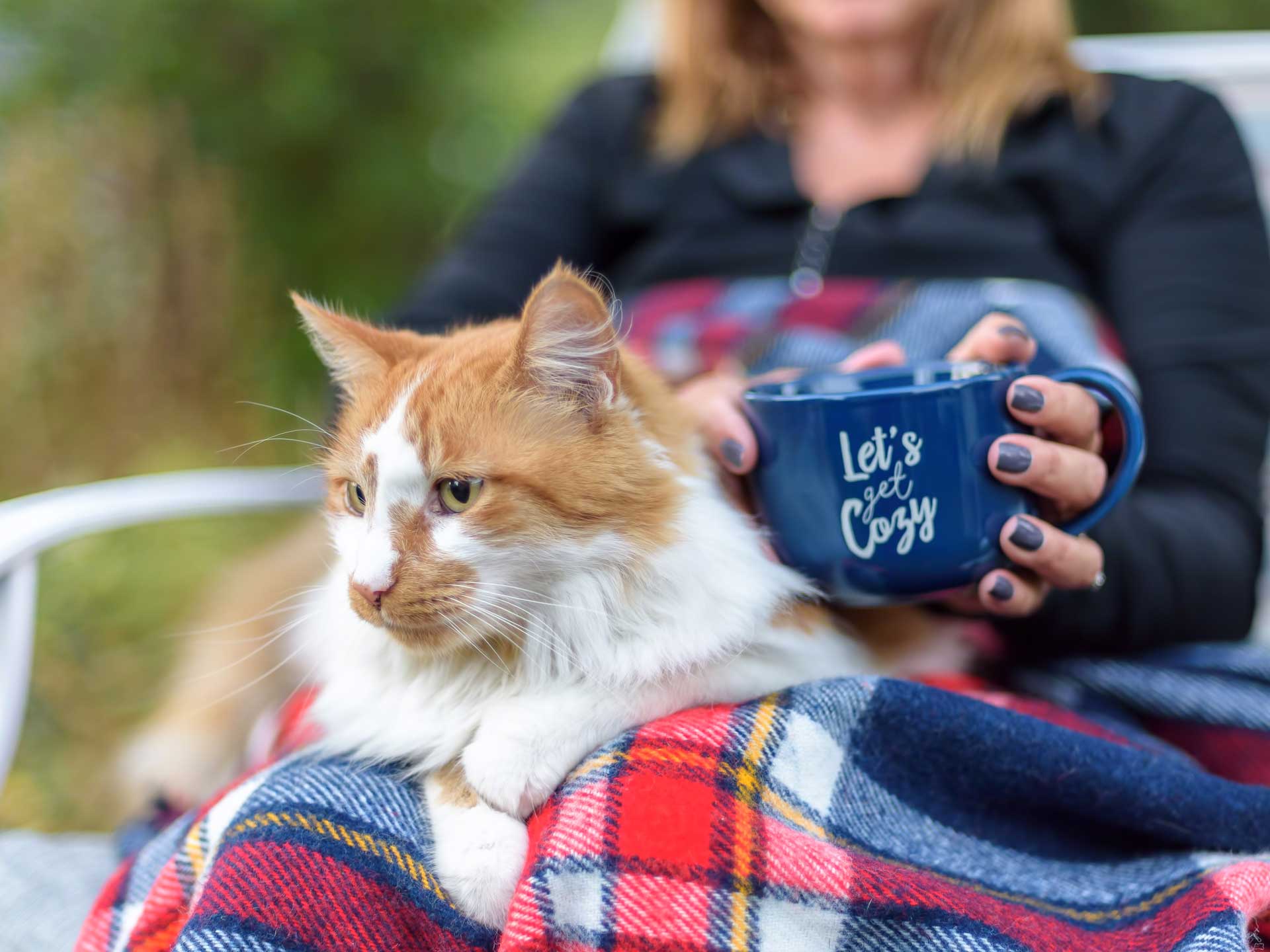 kisállatbarát kutyabarát Balaton szállás lakóautó Siófok Aranypart kemping