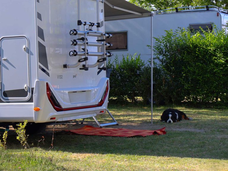 kisállatbarát kutyabarát kemping Siófok Aranypart cCamping & Apartments